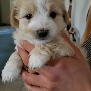 Meet your Posher, Sabrina